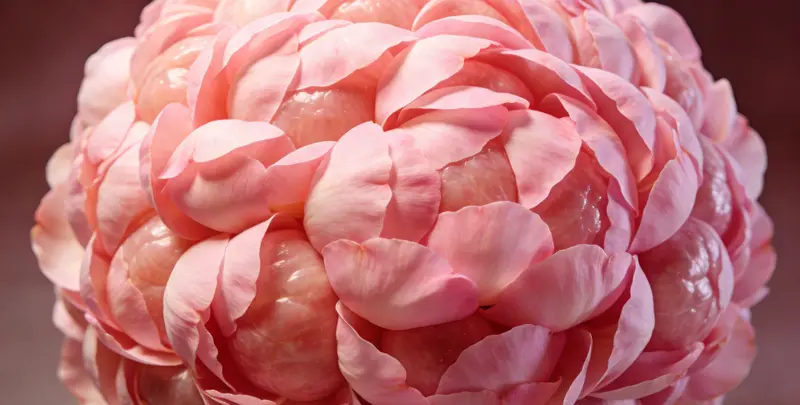 怀化BRCA1/2乳腺癌卵巢癌基因检测图片1